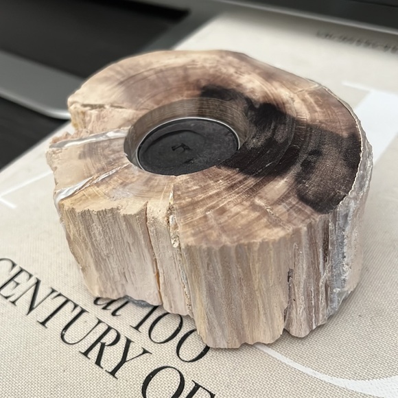 Genuine petrified wood tea light holder & decorative object natural cream black - Picture 1 of 16